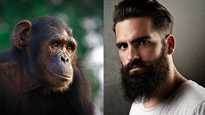 Portrait of a brutal bearded man