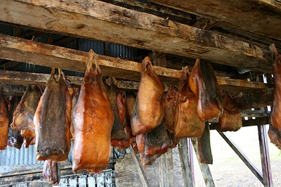 hakarl-1