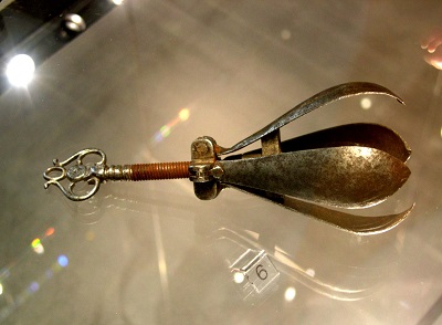Oral_pear