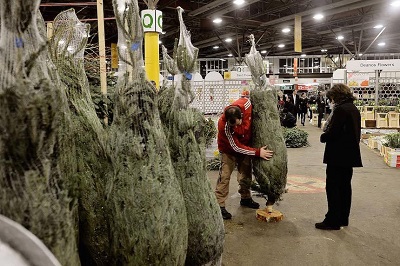New Covent Garden Flower Market Gears Up For Christmas