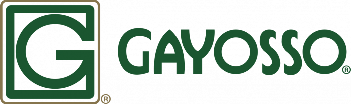 Logo-Gayosso-e1491492627308 (1).png