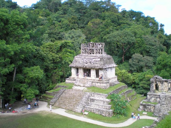 imagen 5